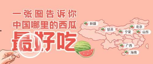 朝阳吃瓜群众一枚,揭秘京城街头热辣话题